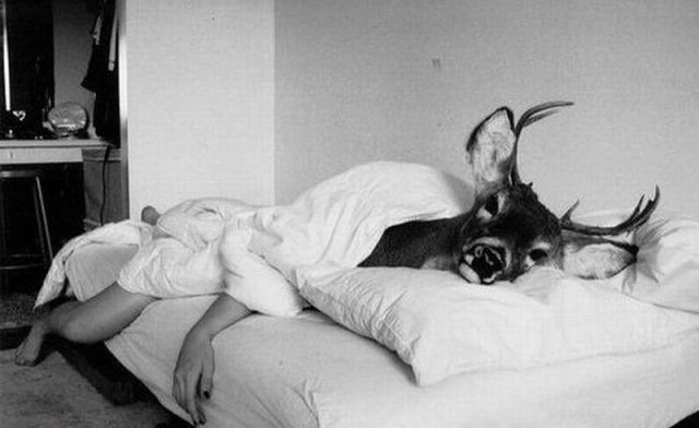 Daily picdump