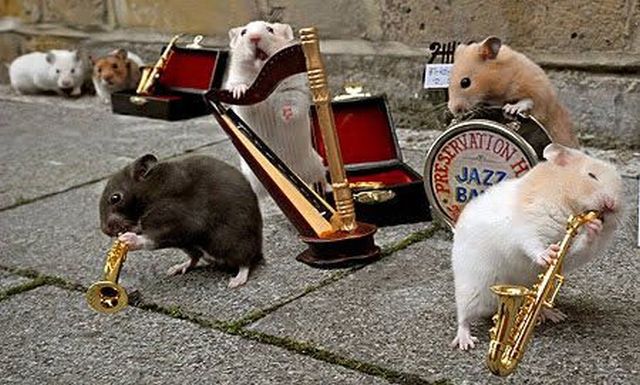 Daily picdump