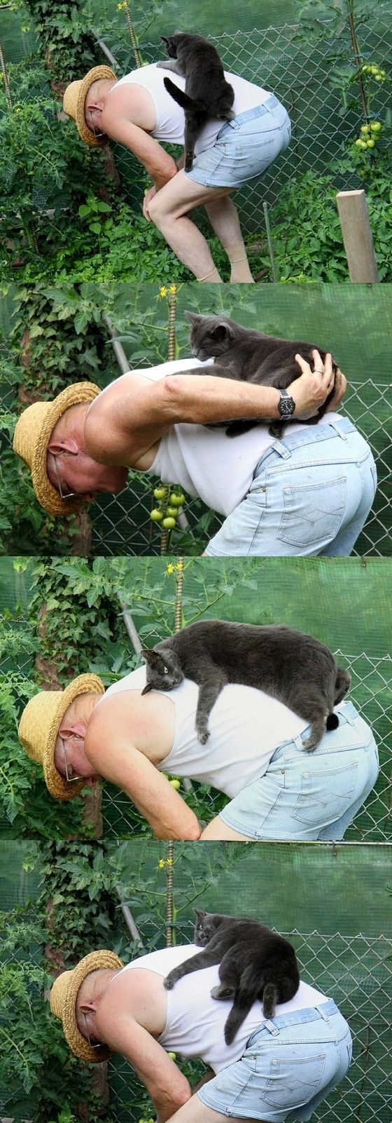 Daily picdump