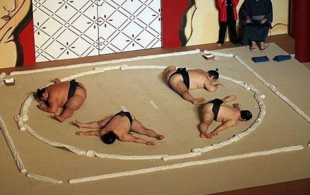 Daily picdump