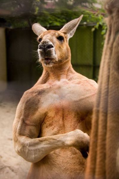 Daily picdump
