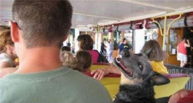 Daily picdump