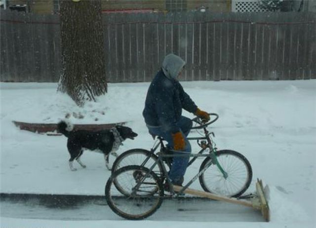 Daily picdump