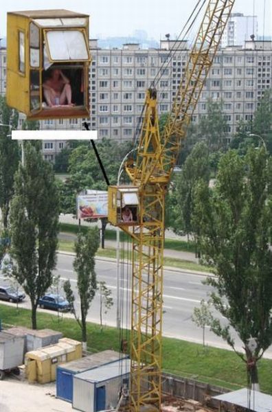 Daily picdump