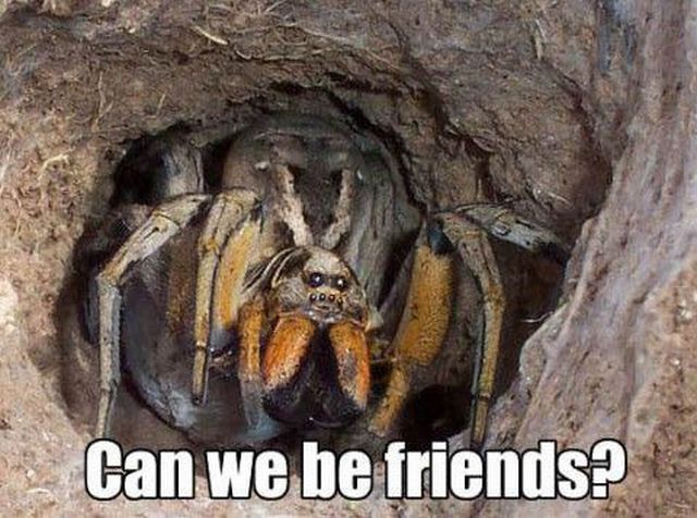 Daily picdump