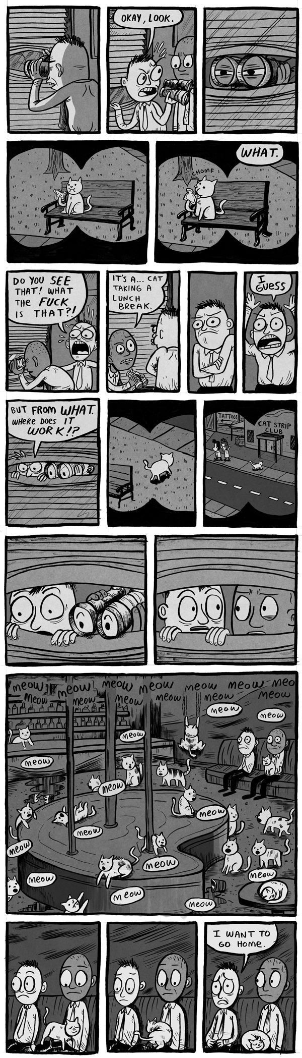 Daily picdump