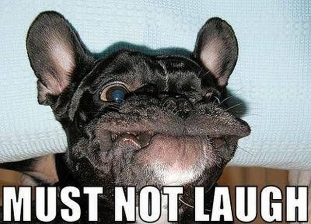 Daily picdump