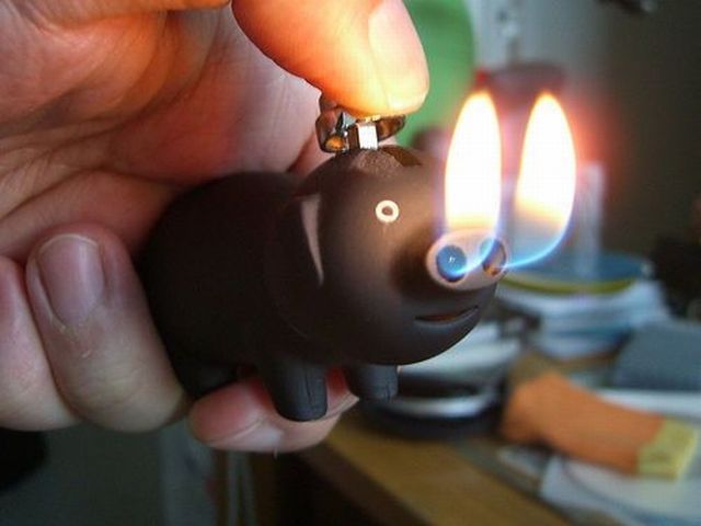 Daily picdump