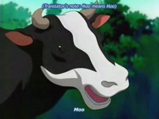 Priceless Anime Subtitle Foolery