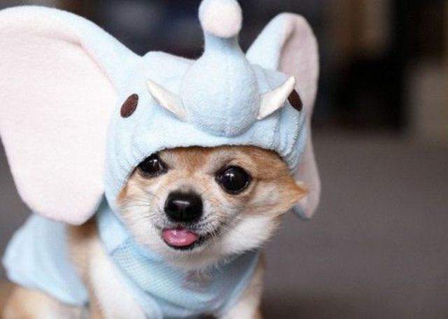Daily picdump [WEEKEND EDITION]