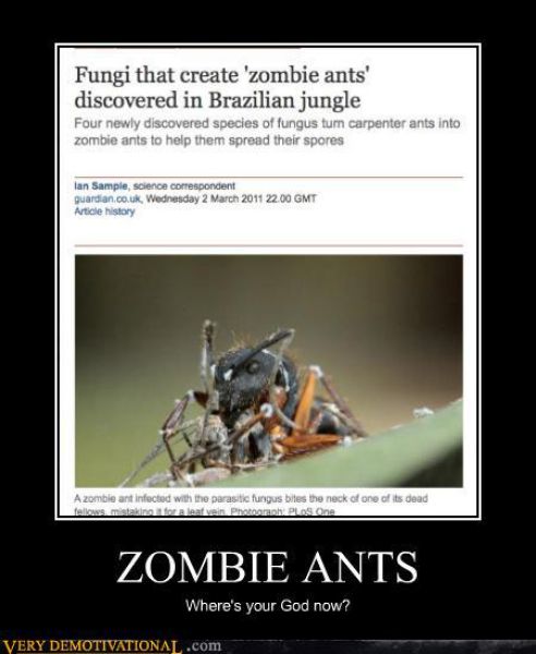 Funny Demotivational Posters. Part 21