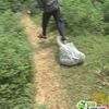 collection of funny gif animations 45 gifs.html - 1 HD GIF | Premium Gallery 2009