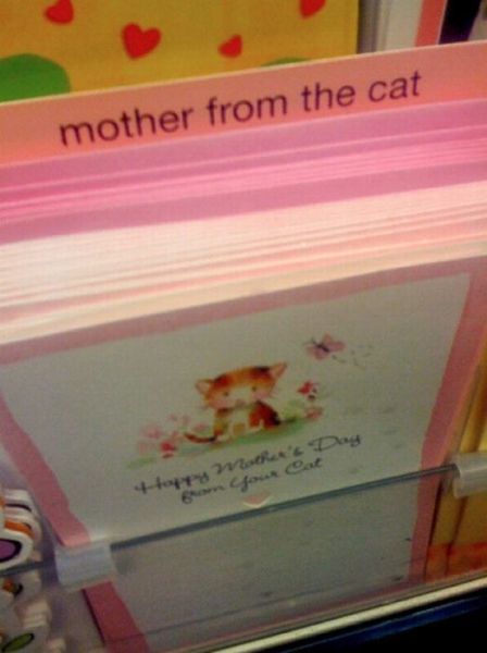 Only in America Scenes Prove Unique and Disturbing