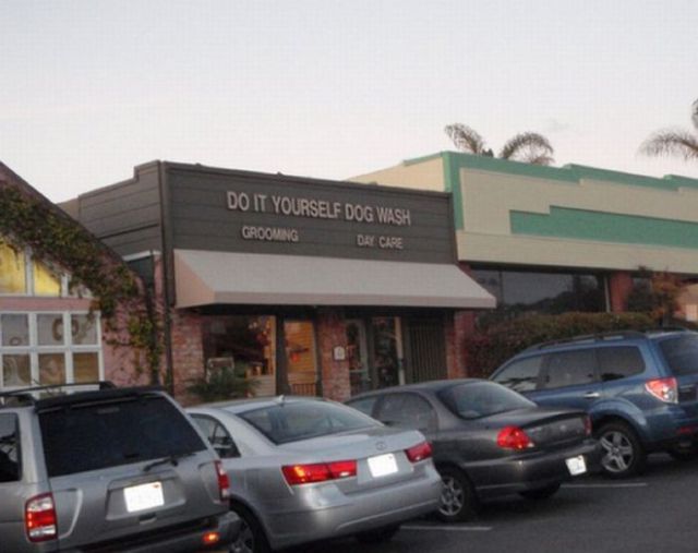 Only in America Scenes Prove Unique and Disturbing