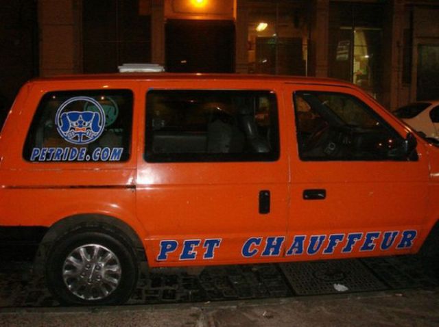 Only in America Scenes Prove Unique and Disturbing