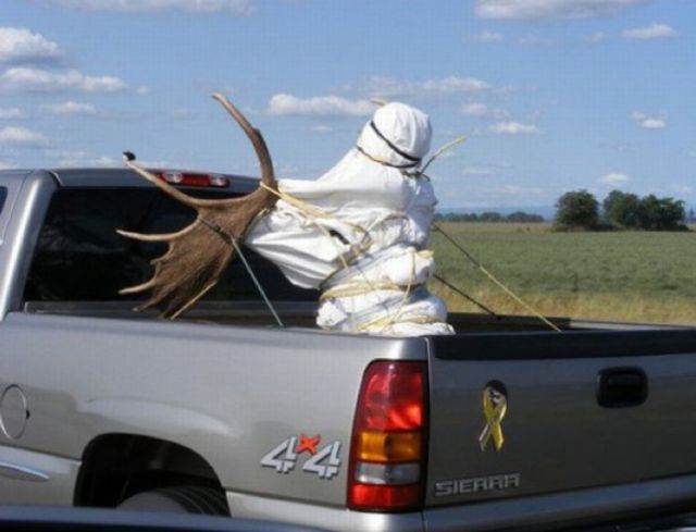 Only in America Scenes Prove Unique and Disturbing