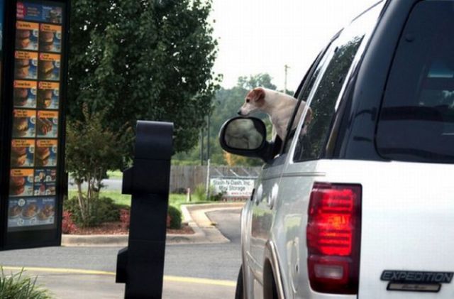 Only in America Scenes Prove Unique and Disturbing