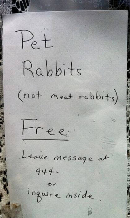 Only in America Scenes Prove Unique and Disturbing