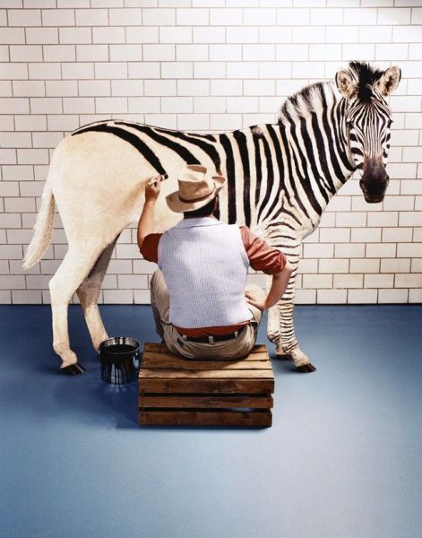 Creative Artworks