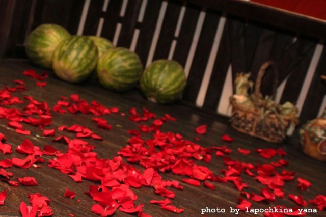 New Vladimir Putin’s personal photographer