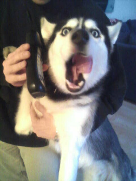 Daily picdump [WEEKEND EDITION]