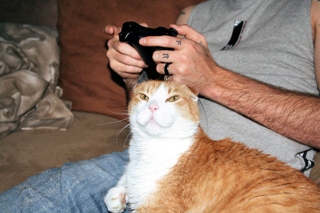 Daily picdump [WEEKEND EDITION]