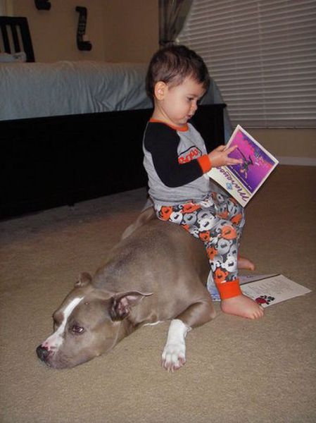 Morning Picdump