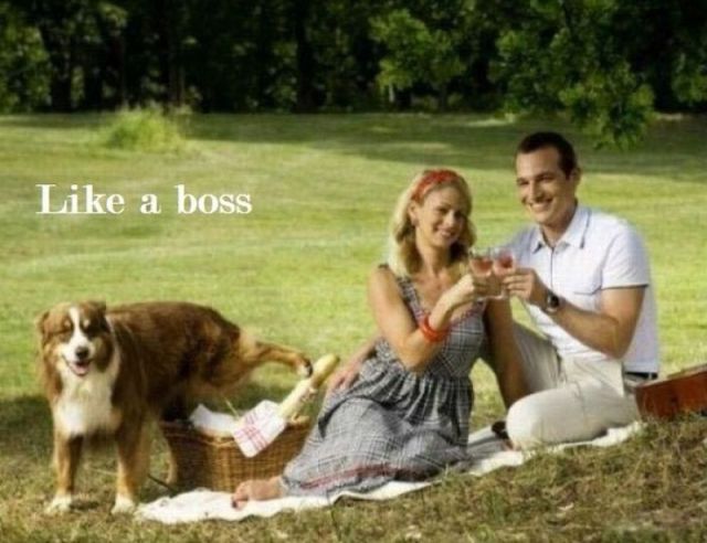 Morning Picdump