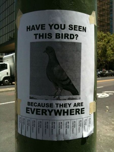 morning picdump 68 pics 11.html - 68 HD Photos | Premium Gallery 2011