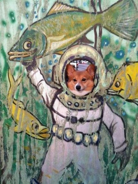 morning picdump 68 pics 11.html - 68 HD Photos | Premium Gallery 2011