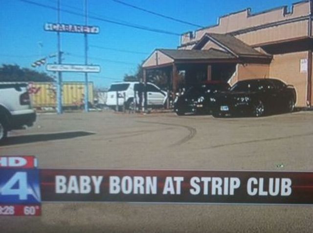 Daily Picdump