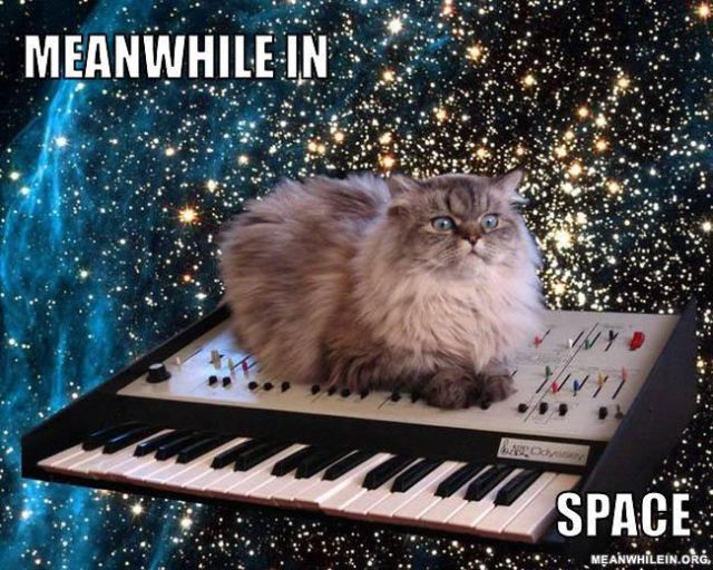 “Meanwhile In” Hilarious Memes