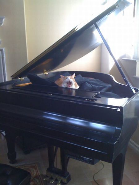 Morning Picdump