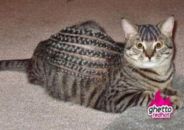 morning picdump 72 pics 20.html - 72 HD Photos | Premium Gallery 2011