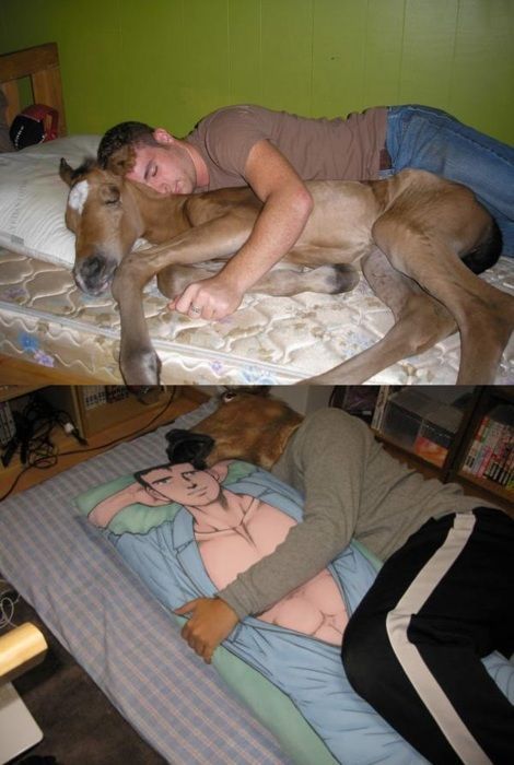 Morning Picdump