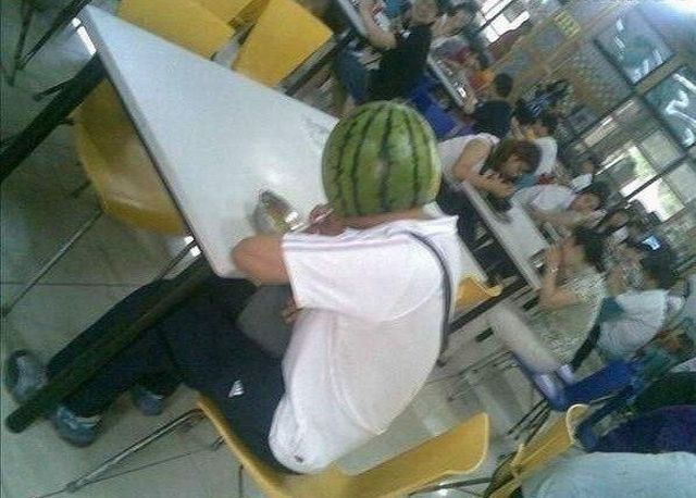 Daily Picdump