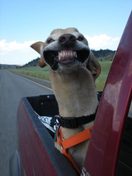daily picdump 86 pics 11.html - 86 HD Photos | Premium Gallery 2011