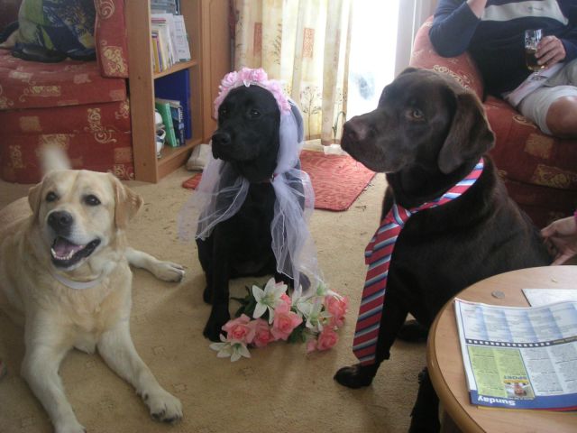 daily picdump 86 pics 11.html - 86 HD Photos | Premium Gallery 2011