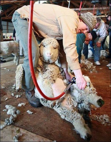 daily picdump 88 pics 39.html - 88 HD Photos | Premium Gallery 2011