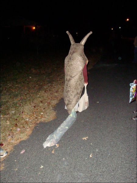 daily picdump 88 pics 39.html - 88 HD Photos | Premium Gallery 2011