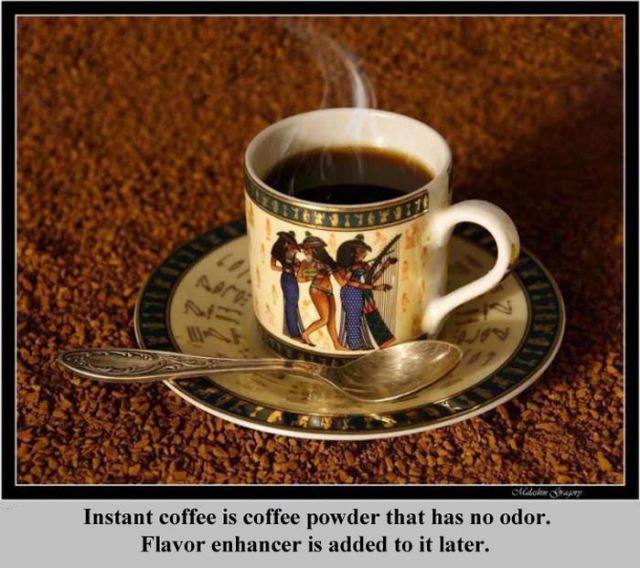 Interesting Facts about Everything