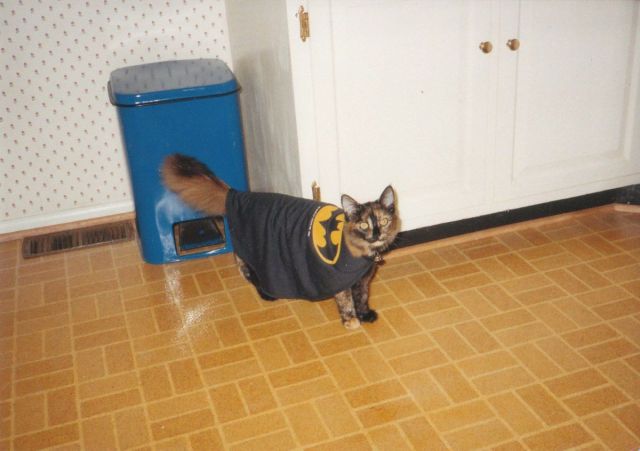 Morning Picdump