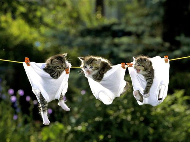 morning picdump 64 pics 30.html - 64 HD Photos | Premium Gallery 2011