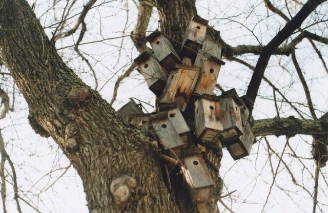 morning picdump 64 pics 30.html - 64 HD Photos | Premium Gallery 2011