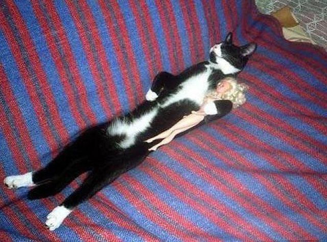 morning picdump 64 pics 30.html - 64 HD Photos | Premium Gallery 2011