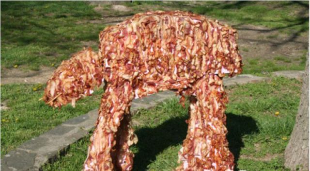 morning picdump 64 pics 30.html - 64 HD Photos | Premium Gallery 2011