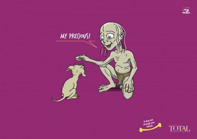 Morning Picdump