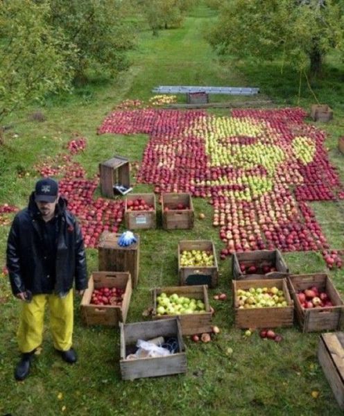 Morning Picdump