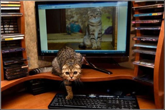 morning picdump 62 pics 1.html - 62 HD Photos | Premium Gallery 2011