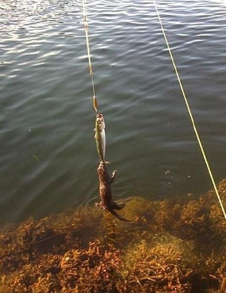morning picdump 62 pics 1.html - 62 HD Photos | Premium Gallery 2011